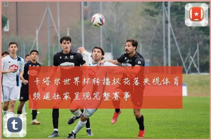 卡塔尔世界杯转播权花落央视体育频道独家呈现完整赛事