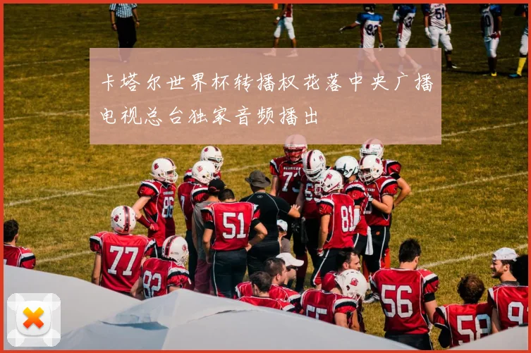 卡塔尔世界杯转播权花落中央广播电视总台独家音频播出