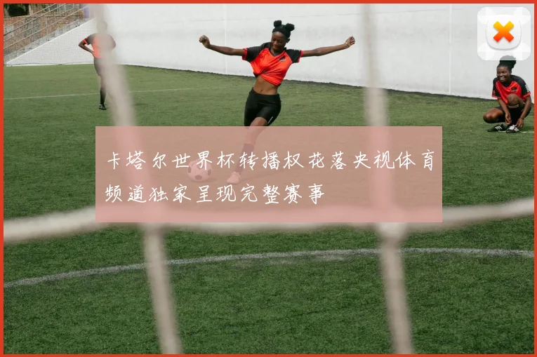 卡塔尔世界杯转播权花落央视体育频道独家呈现完整赛事