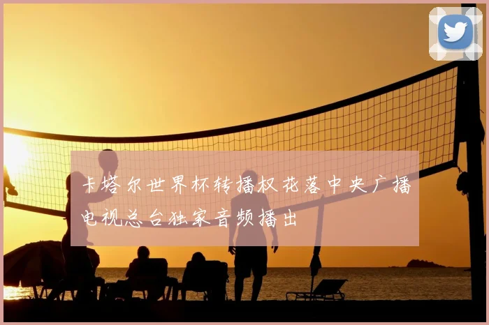 卡塔尔世界杯转播权花落中央广播电视总台独家音频播出